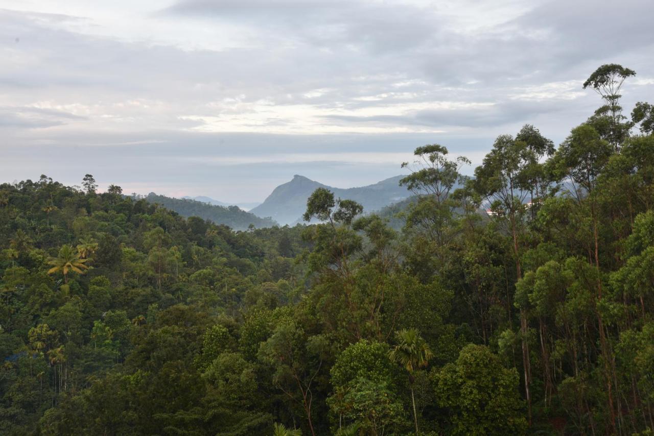 Hotel White House, Munnar Zewnętrze zdjęcie
