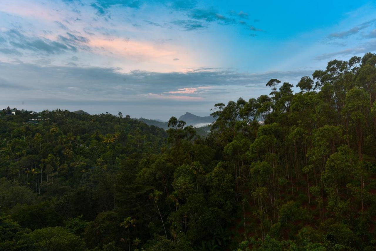 Hotel White House, Munnar Zewnętrze zdjęcie