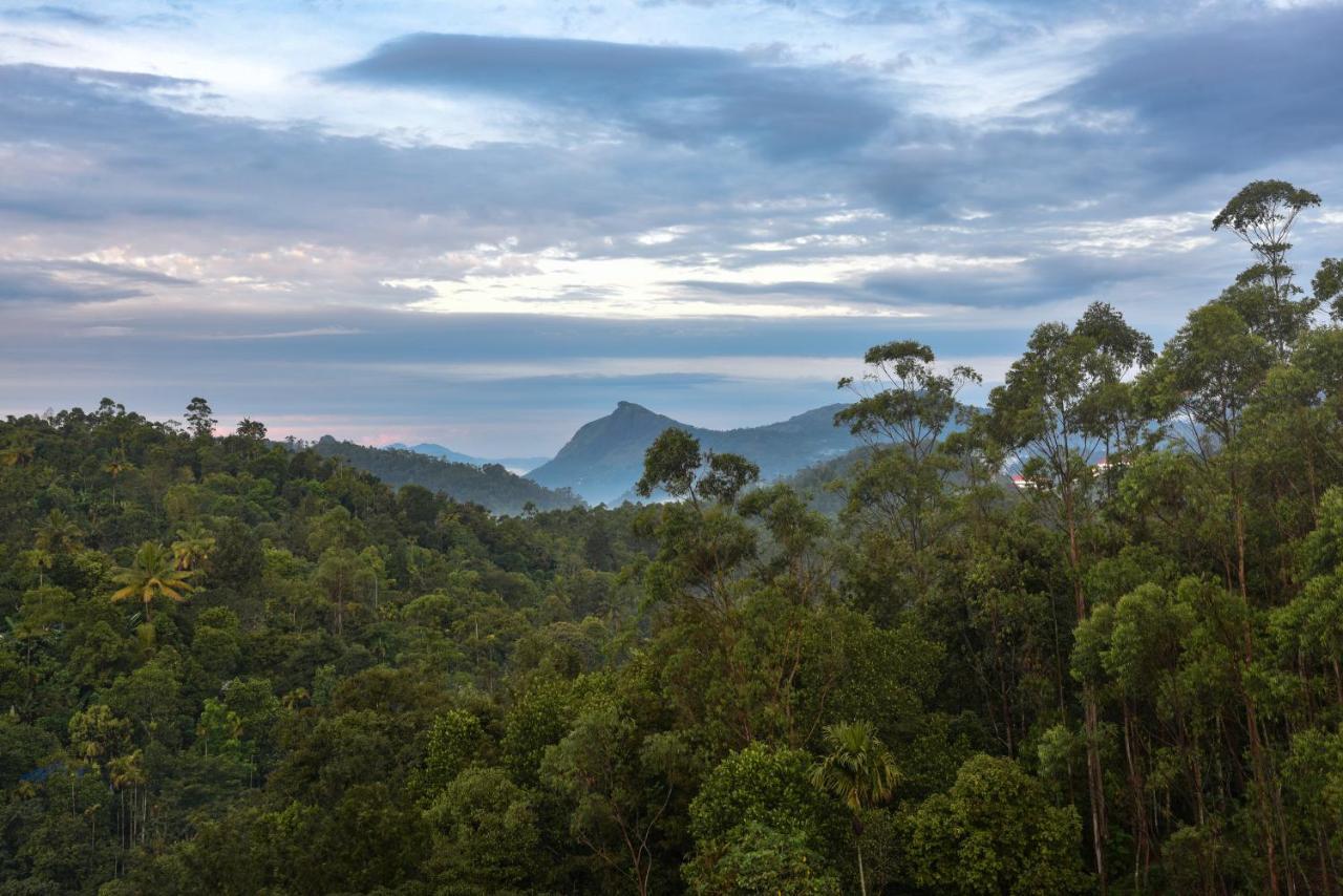 Hotel White House, Munnar Zewnętrze zdjęcie